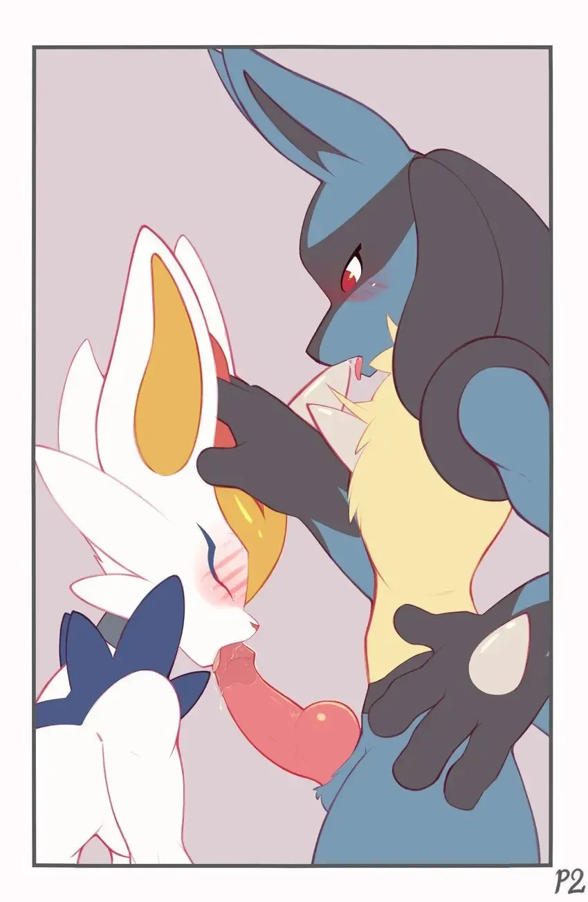 Lucario Male/Female Collection