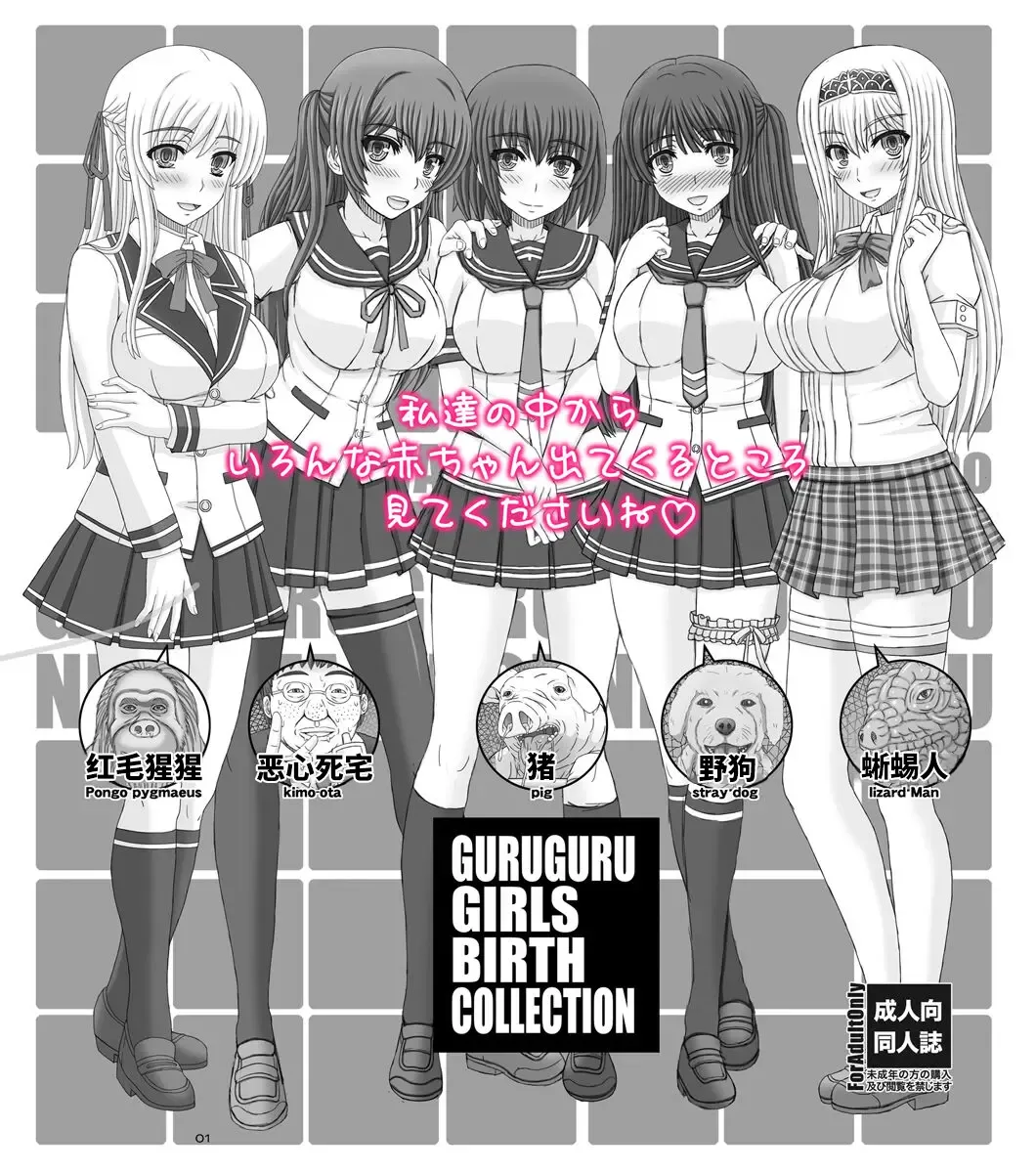 Guruguru Girl's Bar Collection